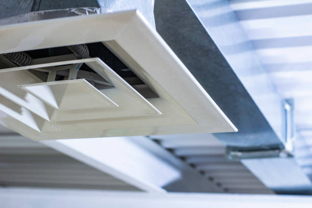 Best Professional Duct Cleaning Services  in Carrier Mls, IL