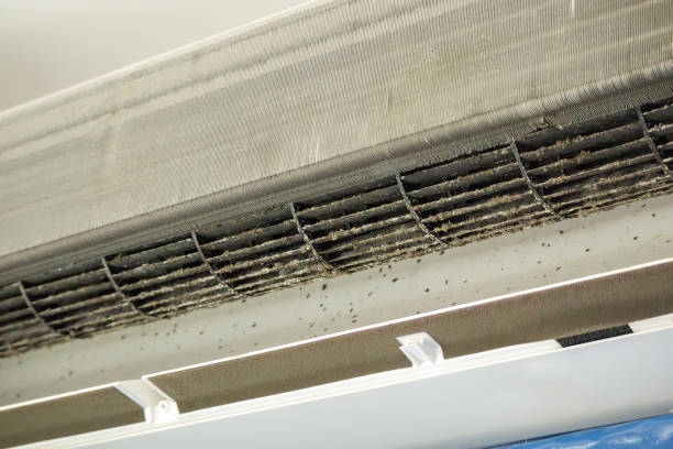 Best Local Air Duct Cleaning Services  in Carrier Mls, IL